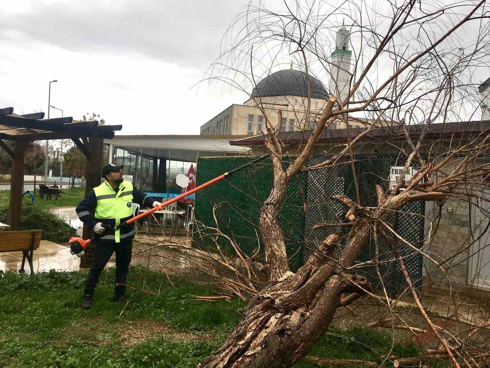 Didim Belediyesi sahada çalışmalarını sürdürüyor
