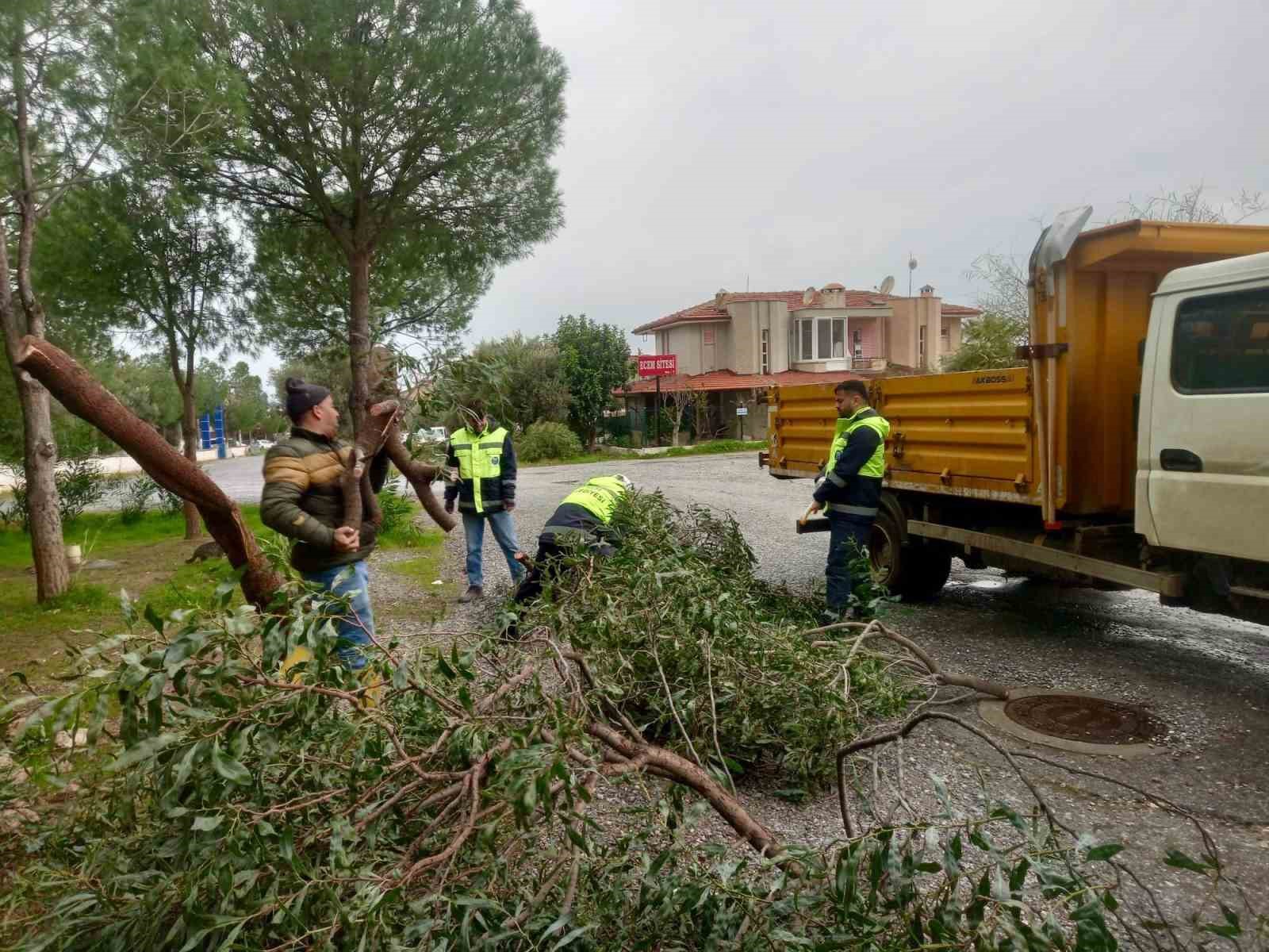 Didim Belediyesi sahada çalışmalarını sürdürüyor
