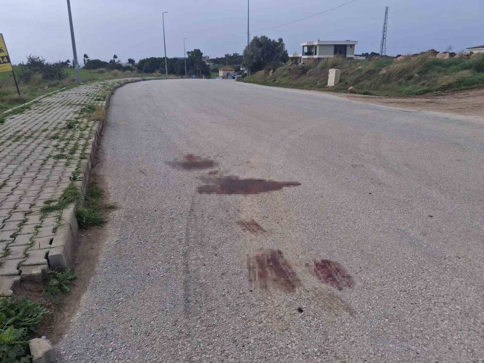 Didim’de kanlı infaz: 2 ölü
