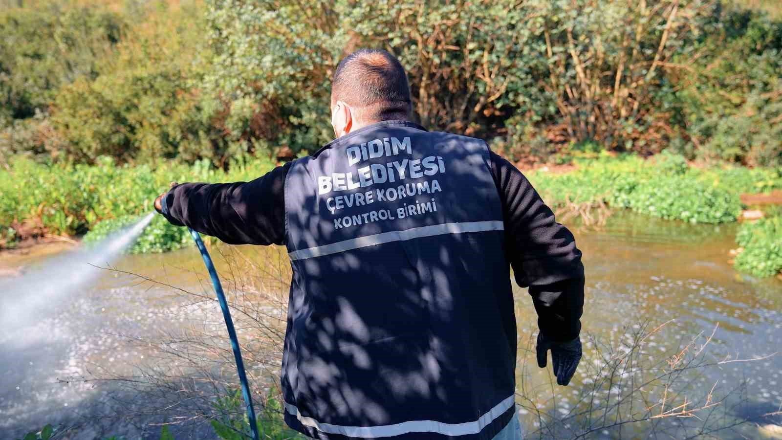 Didim’de vektörle mücadele dört mevsim sürüyor
