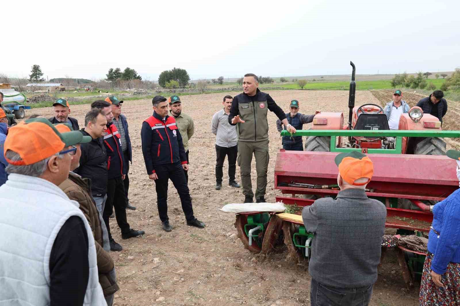 Dinar’da ‘Kekik Yetiştiriciliği Projesi’ devam ediyor
