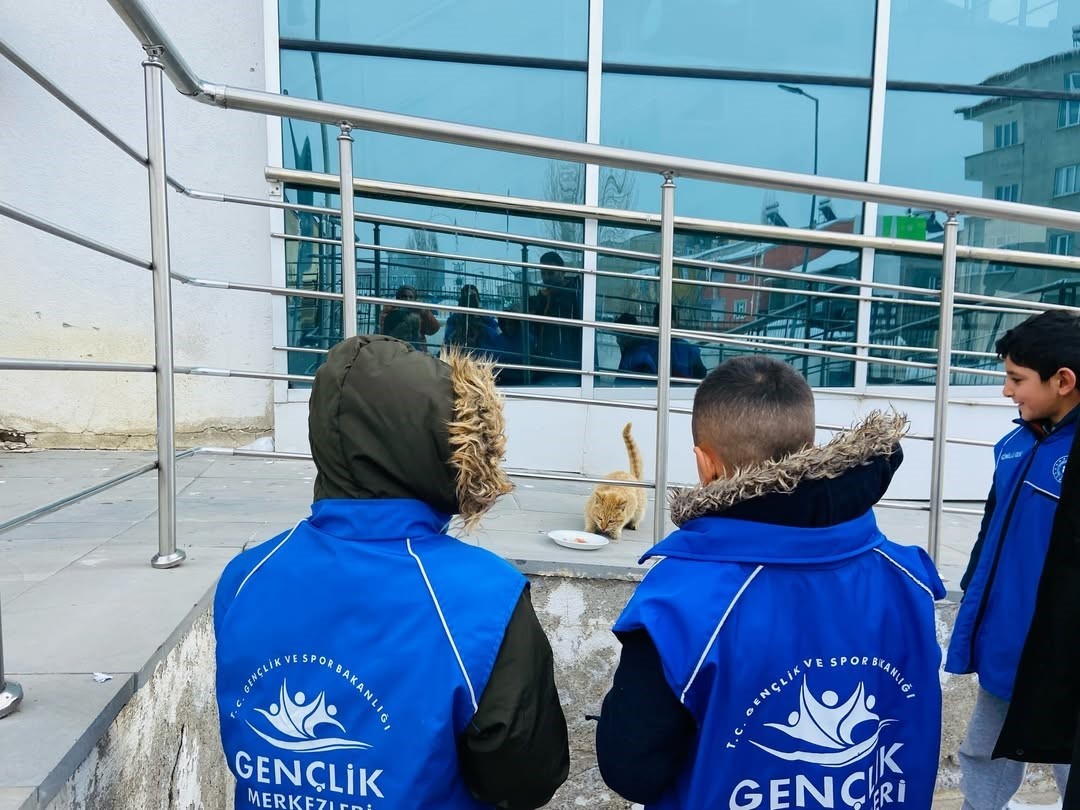 Diyadin’de gençlerden sokak hayvanlarına anlamlı destek
