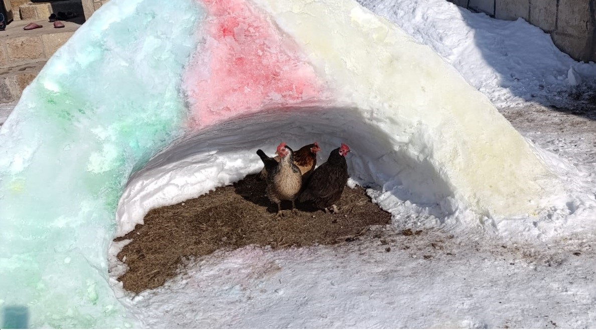 Diyadin’de hayvanlara kardan barınak
