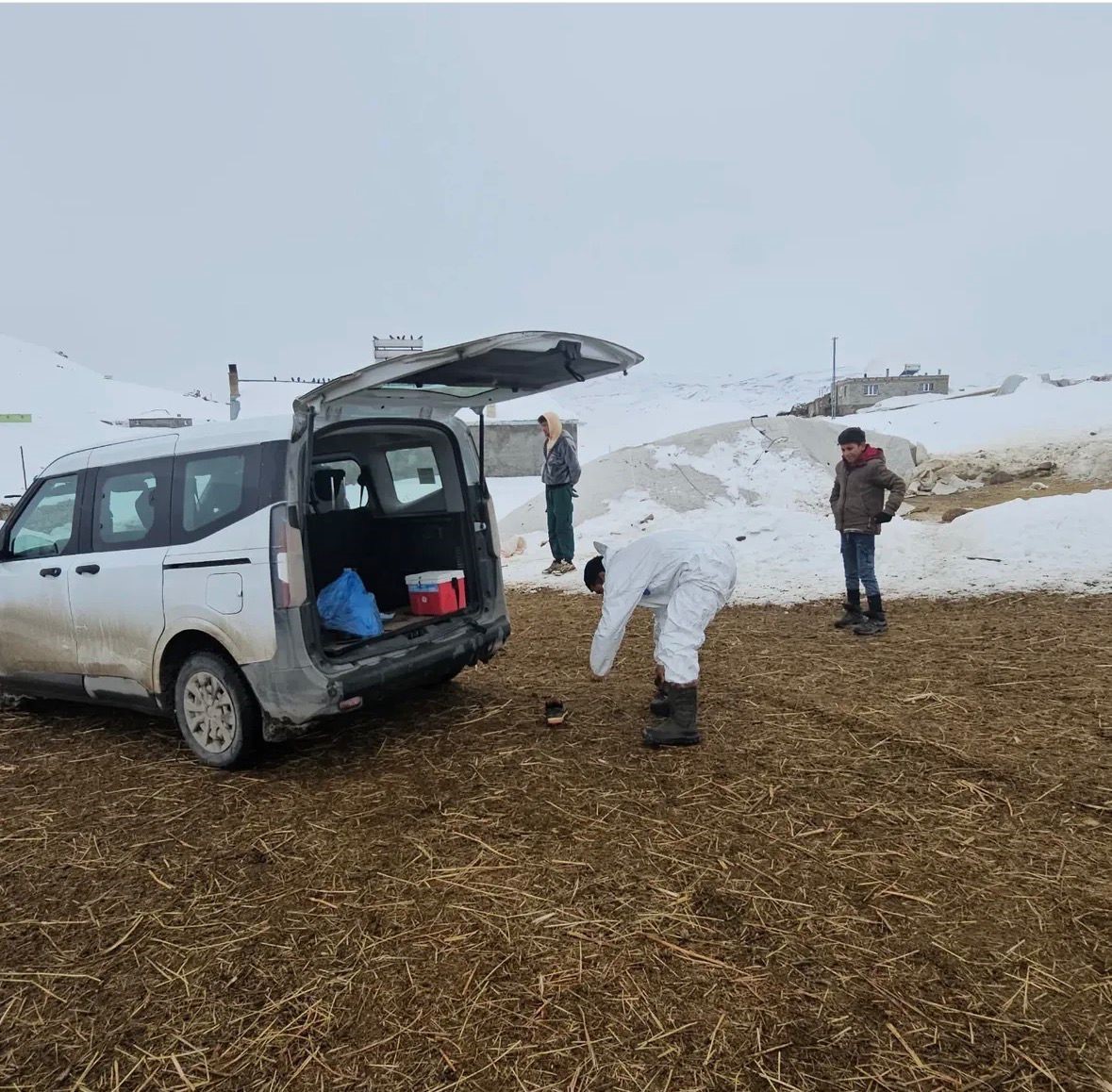 Diyadin’de köpeklere kuduz aşısı uygulaması başladı
