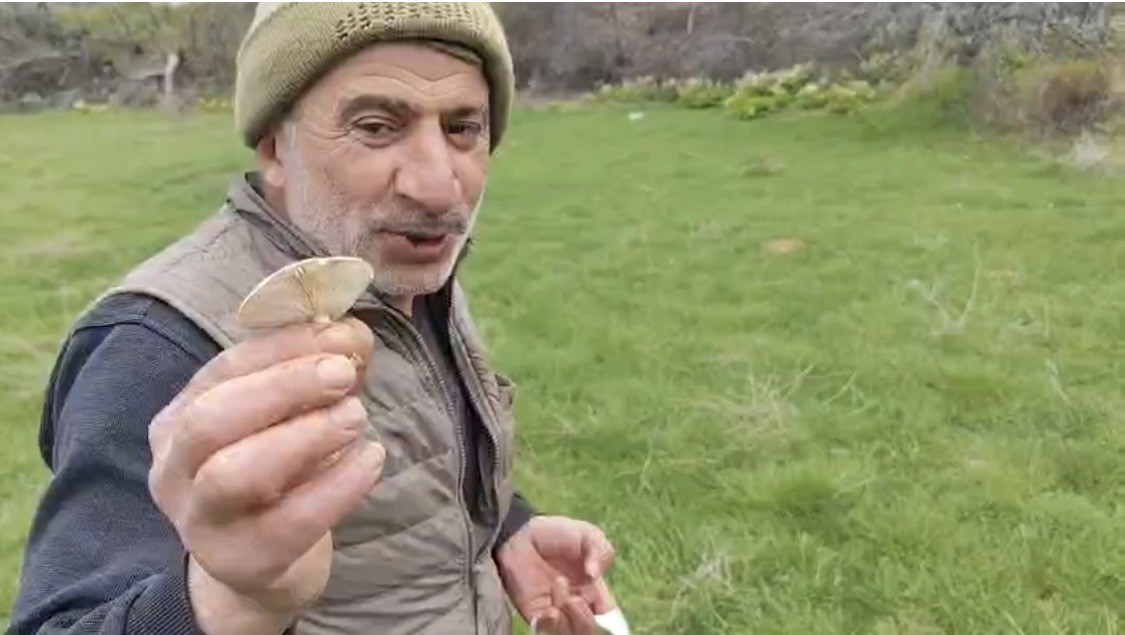 Diyarbakır kırsalında çıkan mantarlar toplanmaya başlandı
