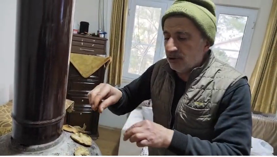 Diyarbakır kırsalında çıkan mantarlar toplanmaya başlandı
