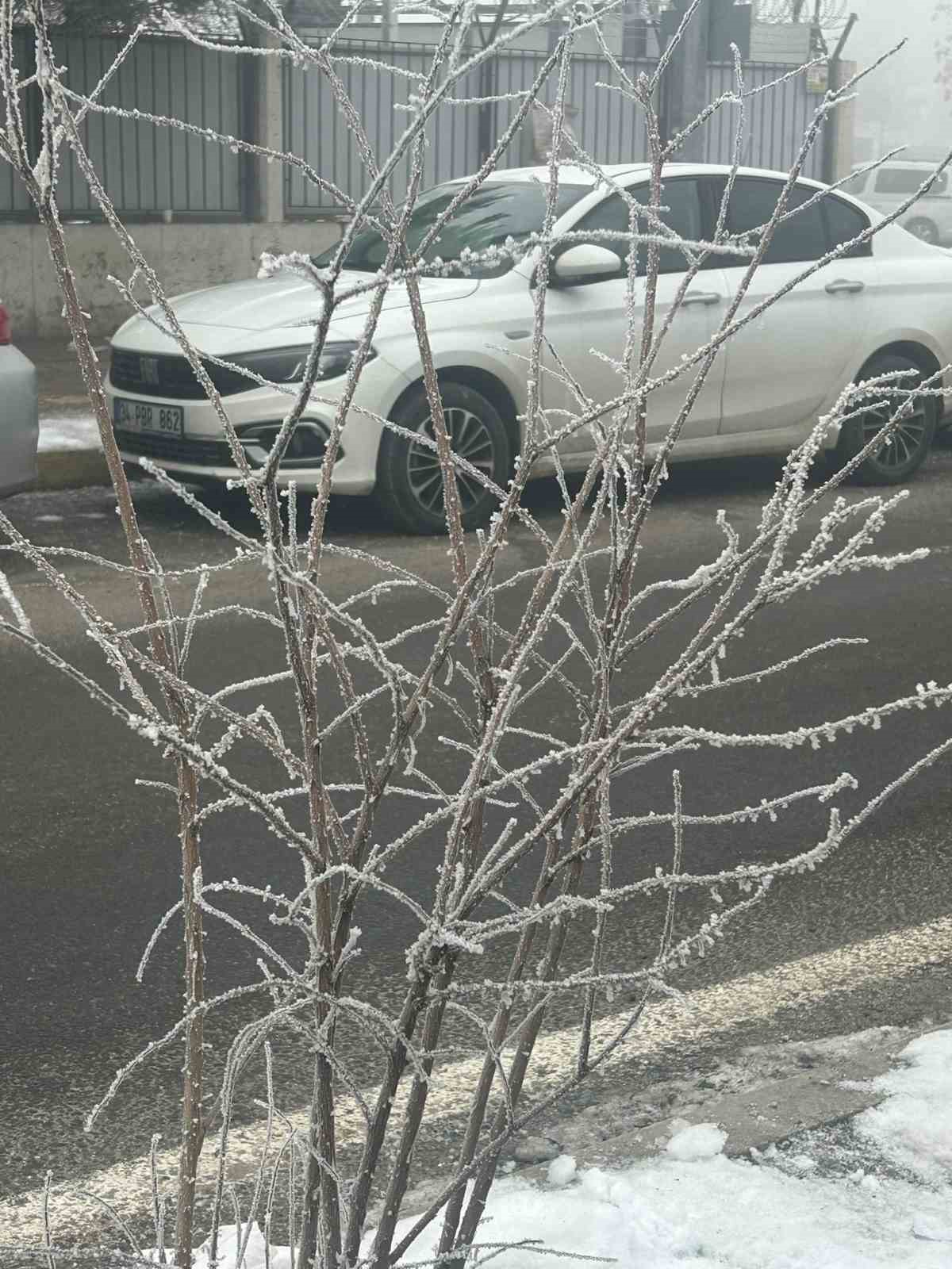 Diyarbakır sis denizinde kayboldu, uçak seferleri iptal edildi
