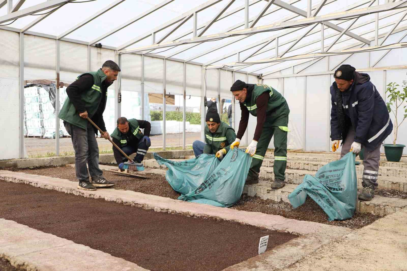 Diyarbakır’a 2 milyon Çin karanfili ekilecek

