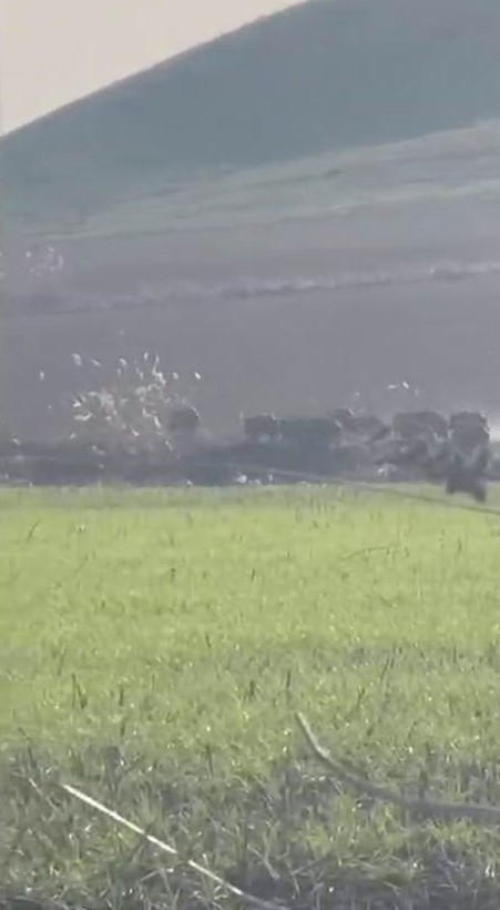 Diyarbakır’da domuz sürüsü görüntülendi
