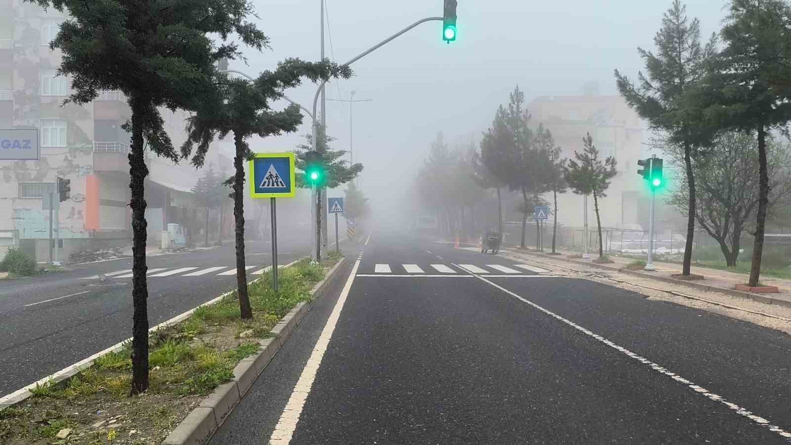 Diyarbakır’da sis etkili oldu
