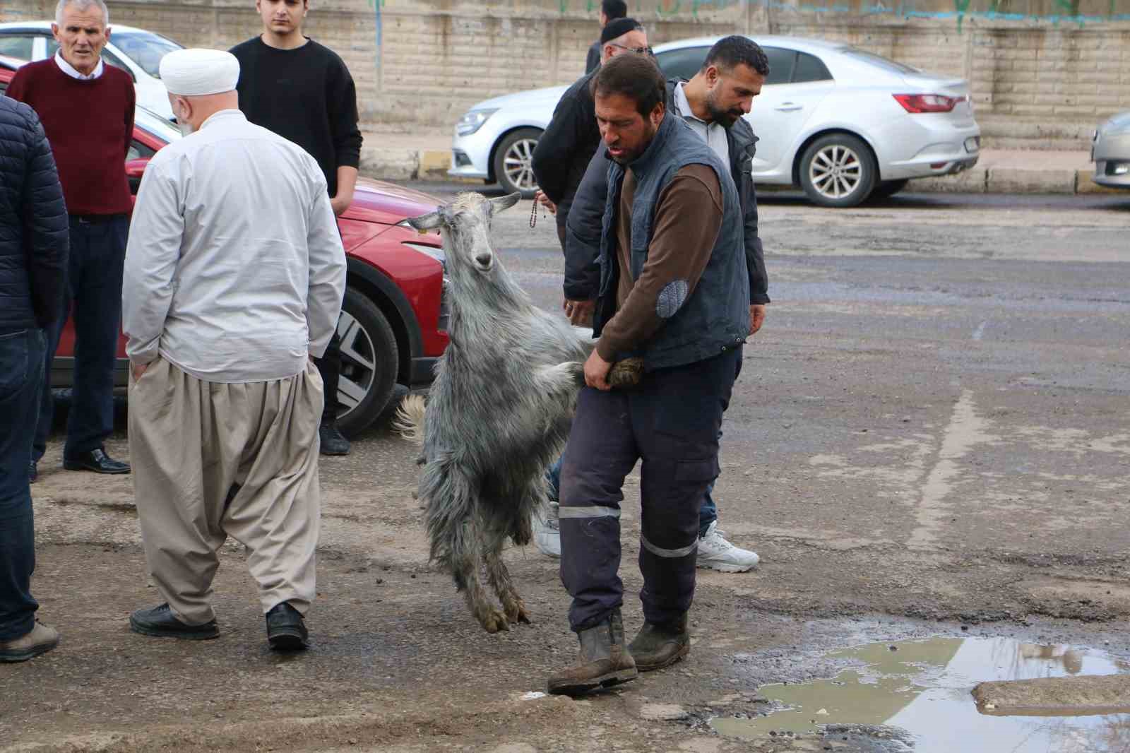 Diyarbakır’da vatandaşlar sofralara bırakacağı eti canlı hayvan pazarından almayı tercih ediyor
