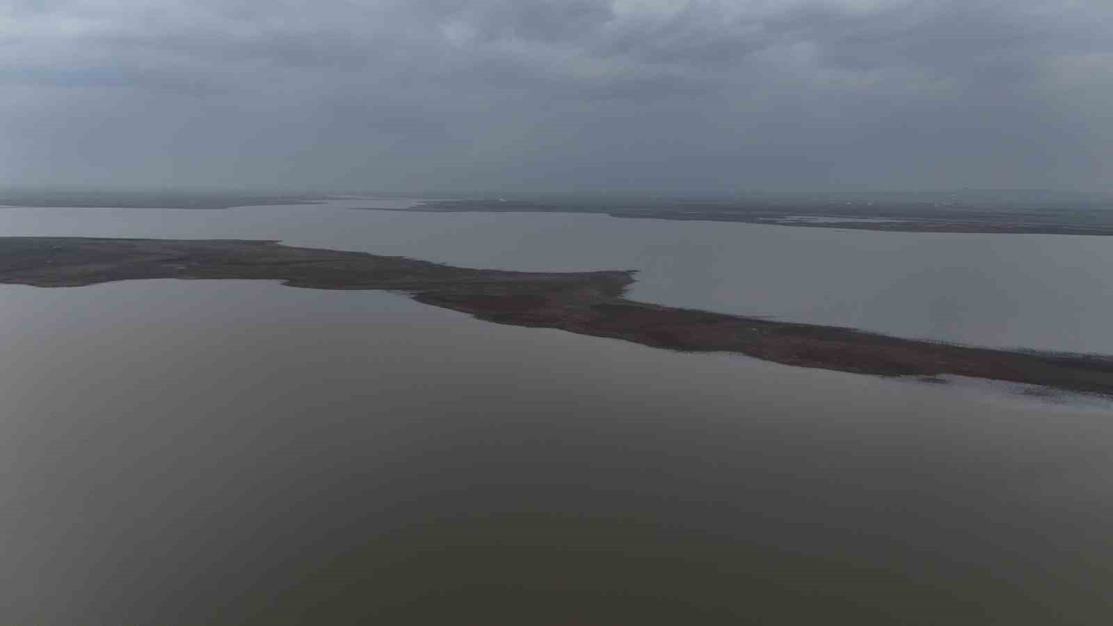 Diyarbakır’da yağışlar yüzde 248 arttı, rekoltede yüzde 50 artış bekleniyor
