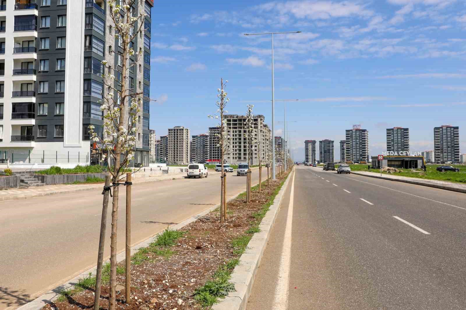 Diyarbakır’da yeşil dönüşüm: 5 bin ağaç dikildi
