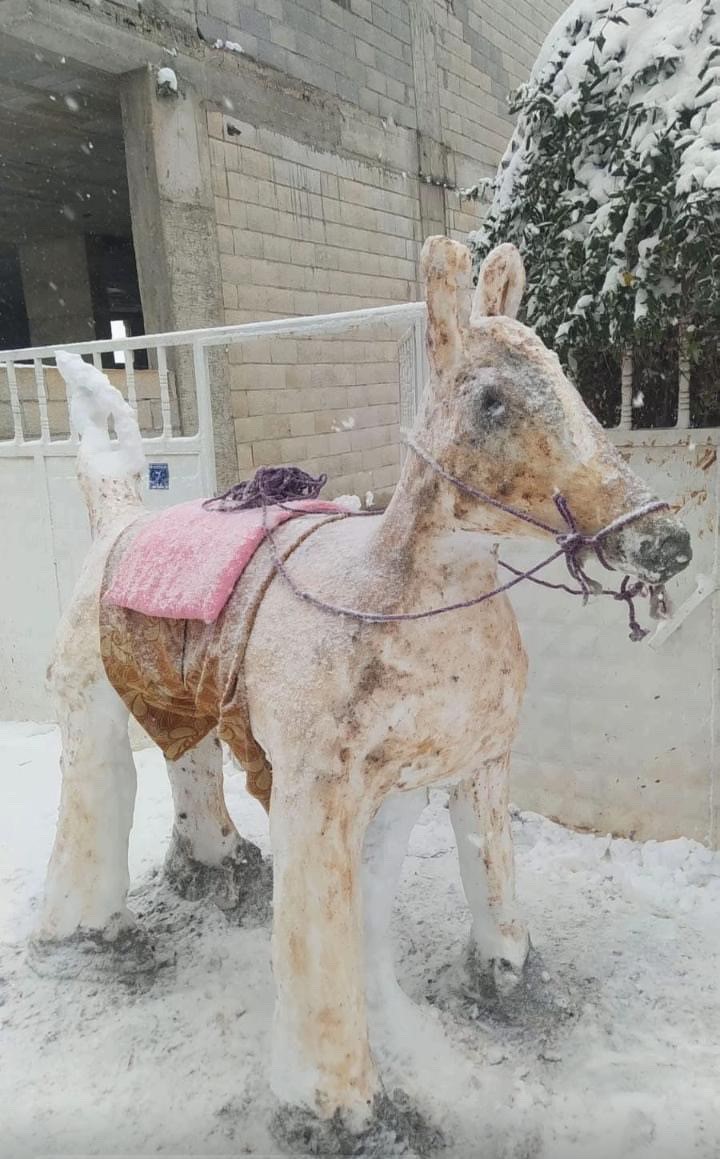 Diyarbakır’ın en güzel kardan adamı seçildi
