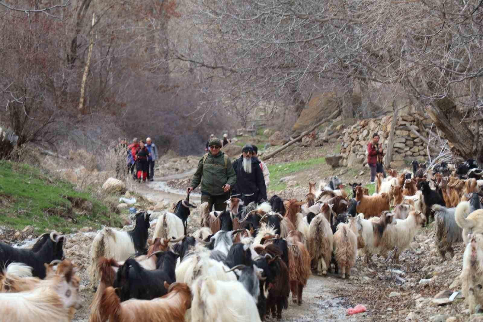 Doğa tutkunlarının bahar yürüyüşü
