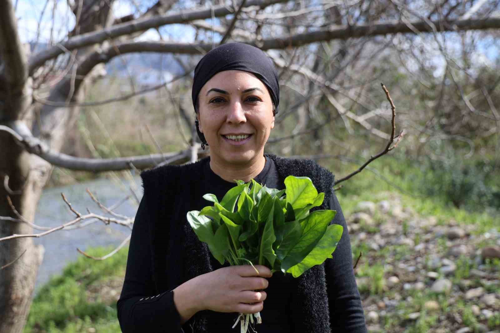 Doğadaki zehirli ot kara kazanda şifaya dönüşüyor

