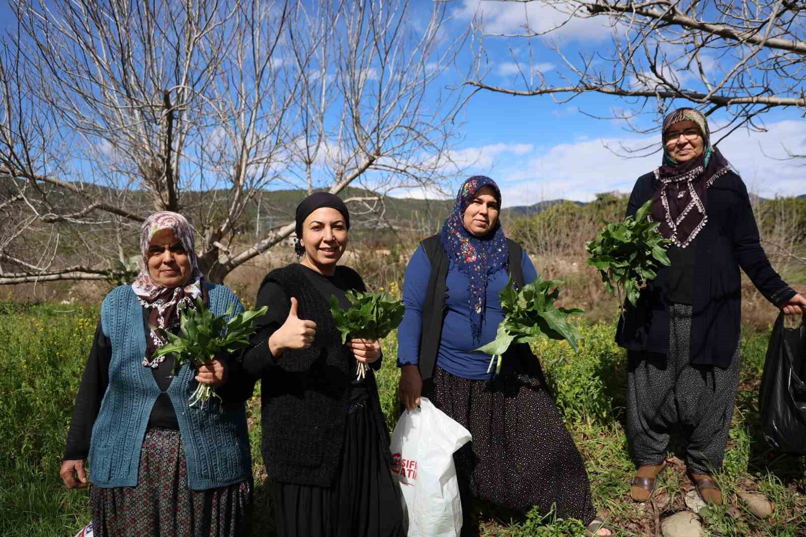 Doğadaki zehirli ot kara kazanda şifaya dönüşüyor
