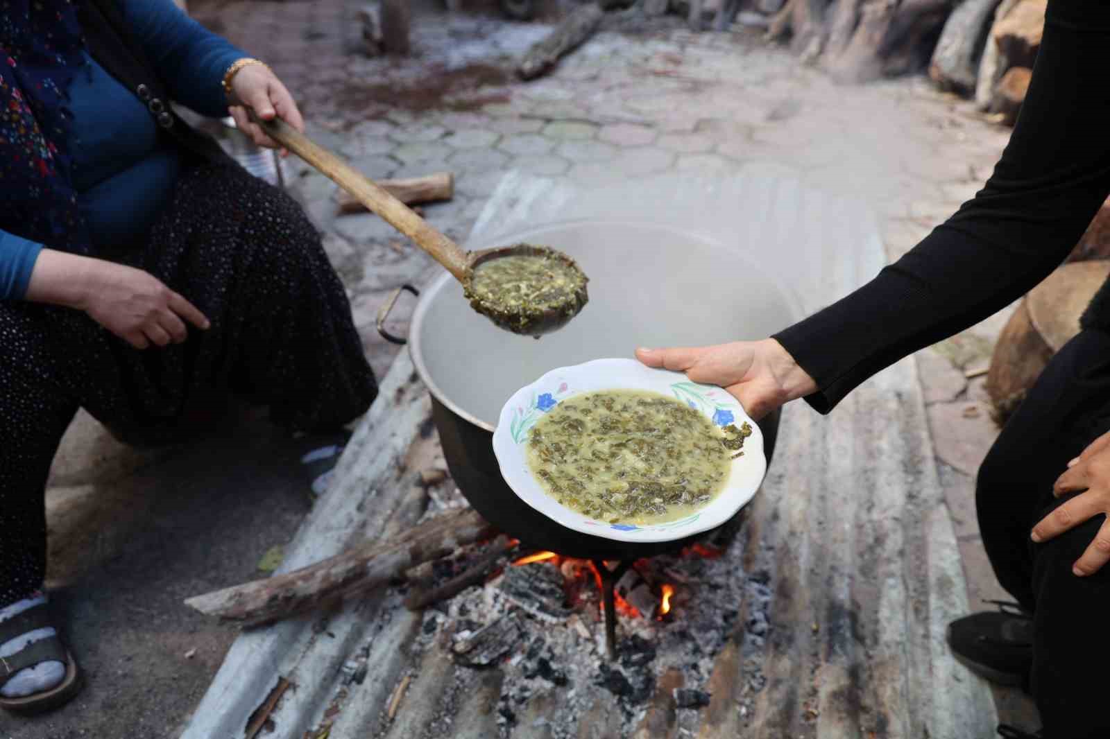 Doğadaki zehirli ot kara kazanda şifaya dönüşüyor
