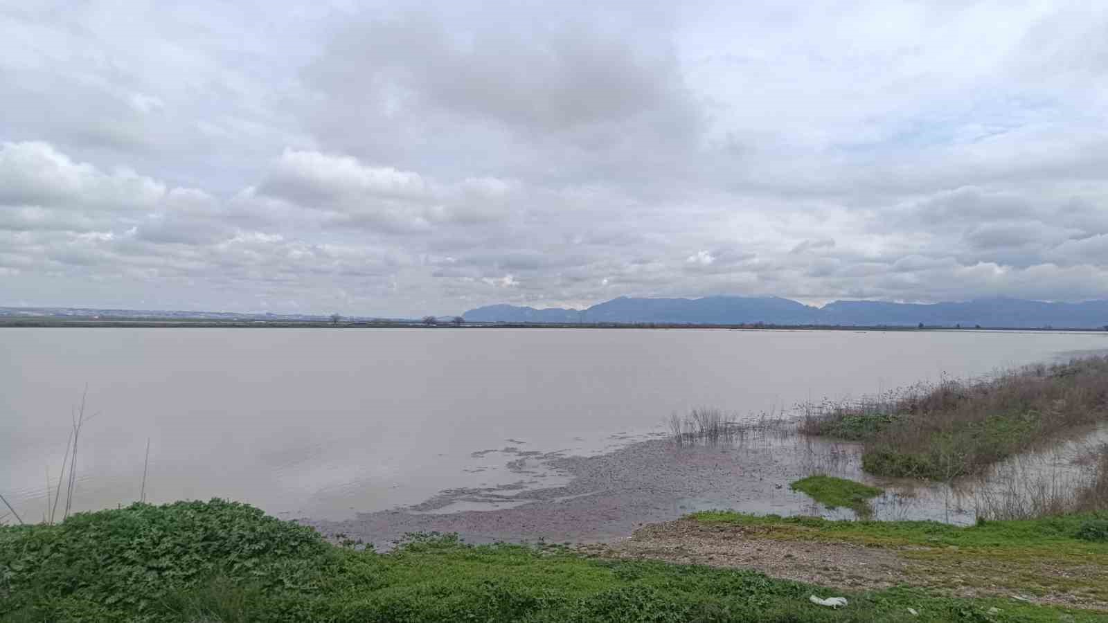 Doğan: "Destek mekanizmalarının hayata geçirilmesi gerekiyor"
