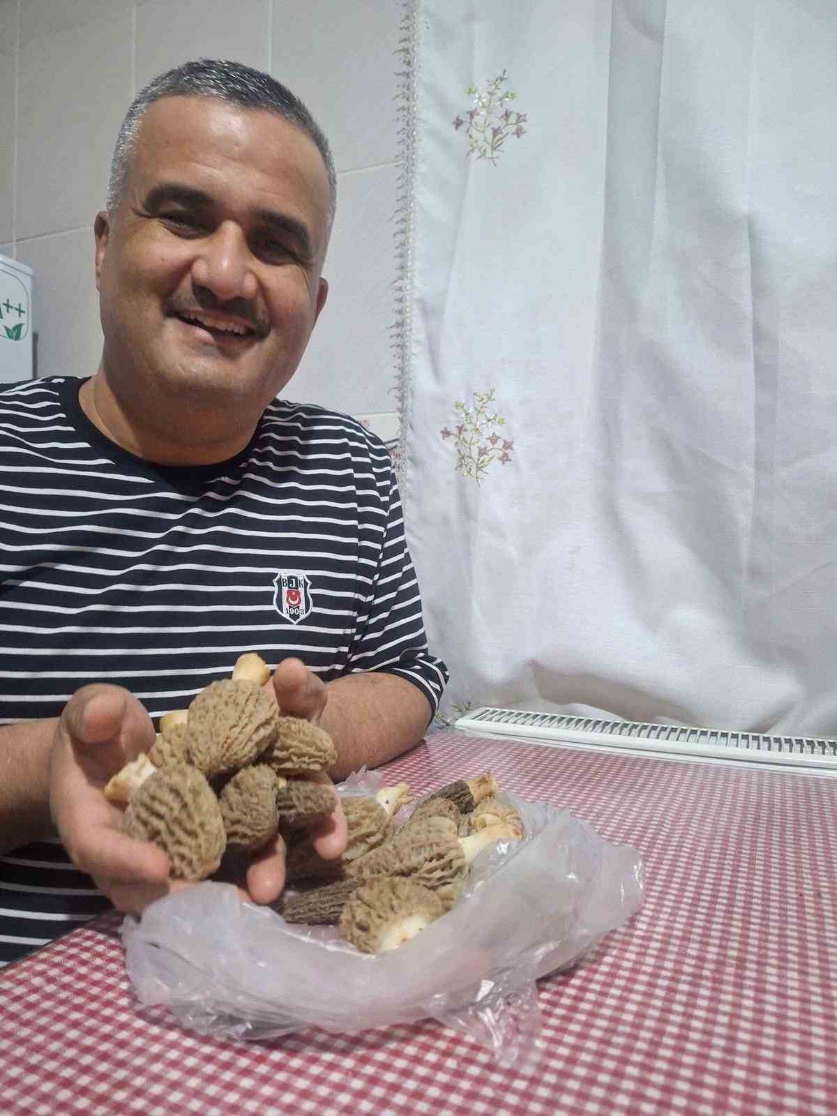 Doğanın ’Et lezzeti’ Kuzugöbeği sofralarda
