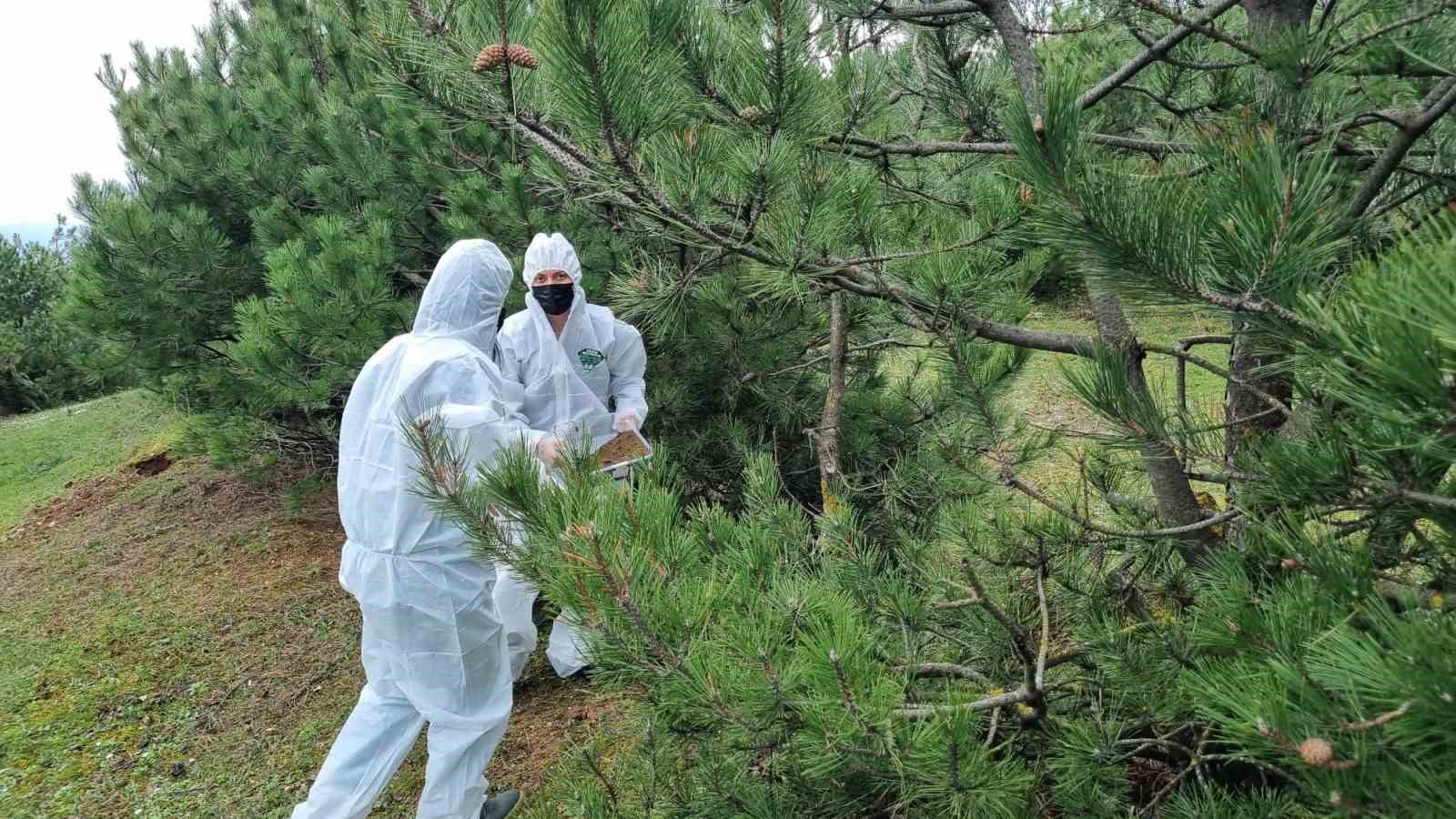 Doğanın sessiz kahramanları görev başında
