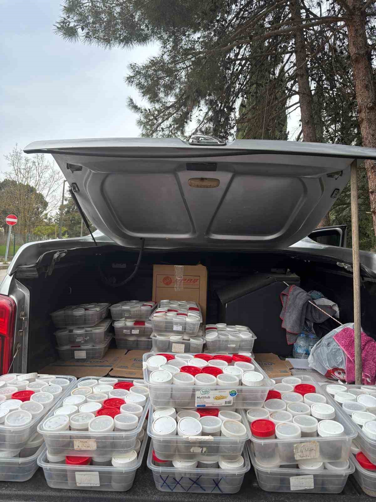 Doğanın sessiz kahramanları görev başında
