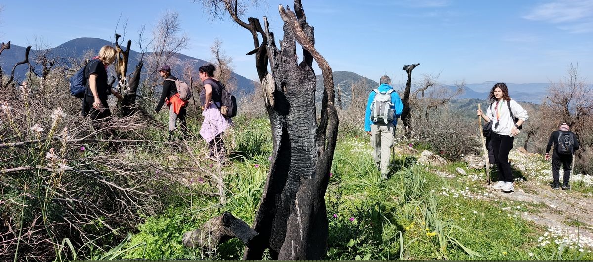 Doğaseverler kanal kenarında çıkan yangını söndürdü
