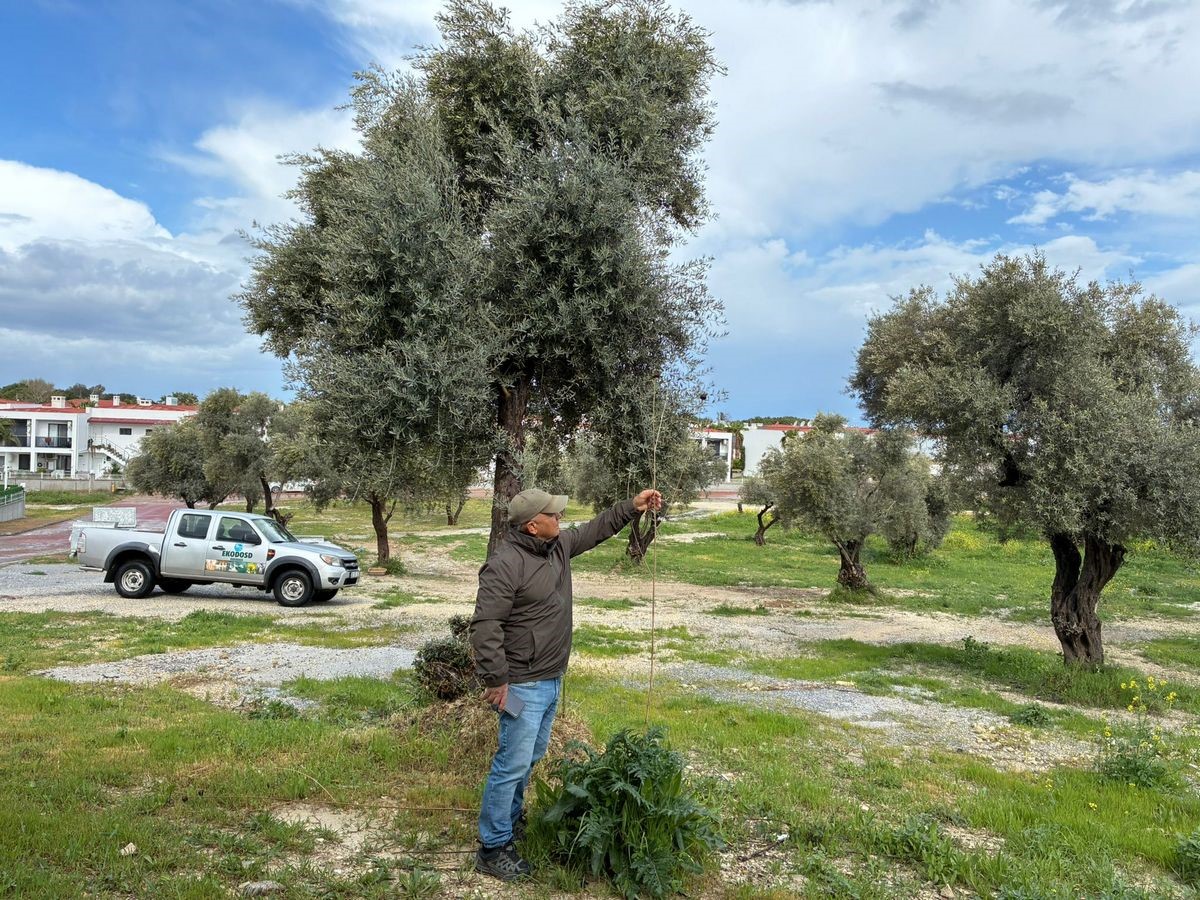 Doğaseverlerden Tülüşah için "acil koruma" çağrısı
Doğaseverlerden Tülüşah için "acil koruma" çağrısı