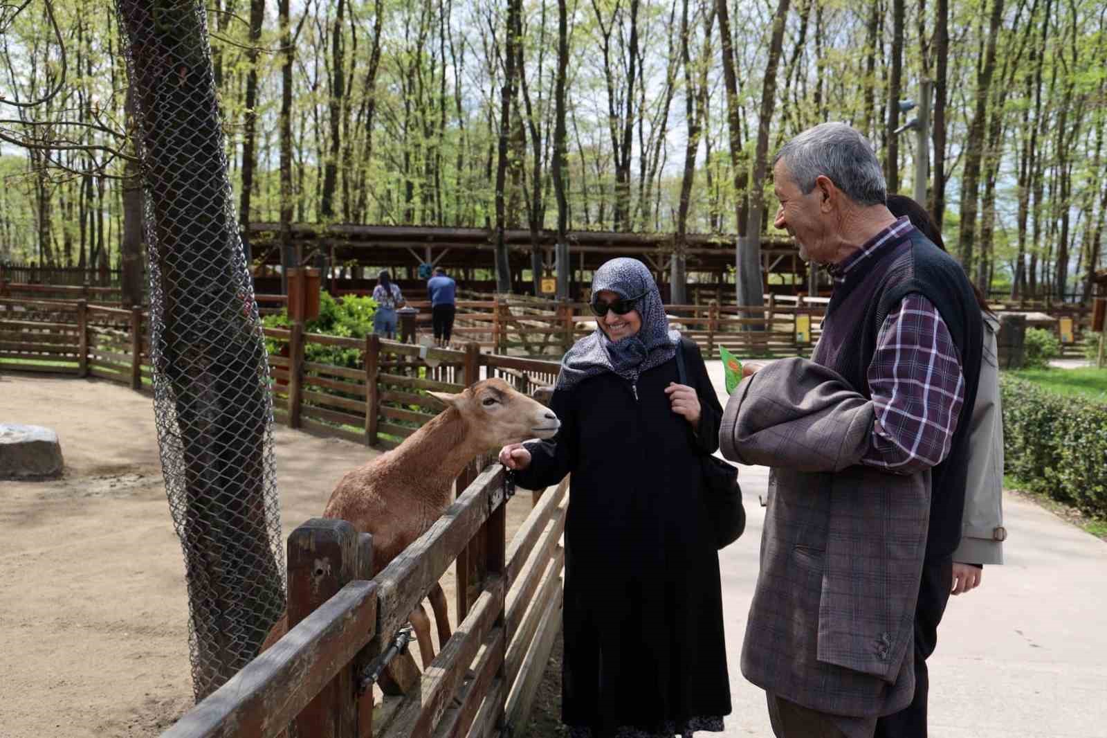 Doğaseverlerin uğrak noktası Ormanya bahara "merhaba" dedi
Doğaseverlerin uğrak noktası Ormanya bahara "merhaba" dedi