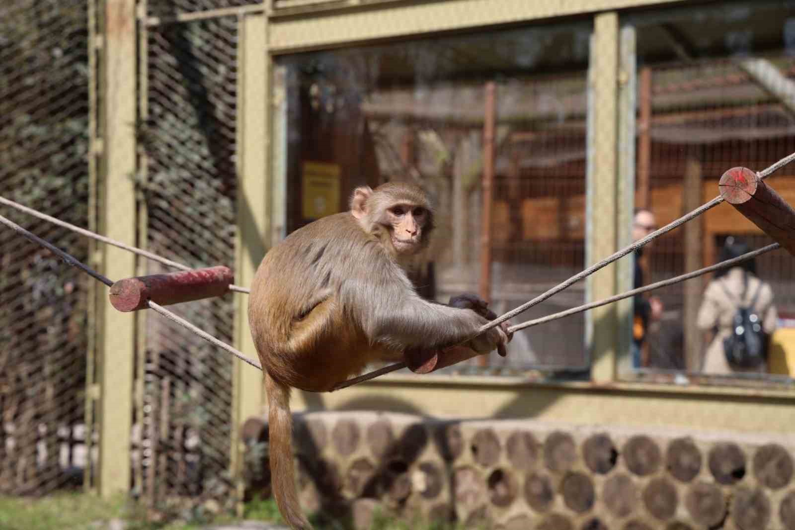 Doğaseverlerin uğrak noktası Ormanya bahara "merhaba" dedi
Doğaseverlerin uğrak noktası Ormanya bahara "merhaba" dedi