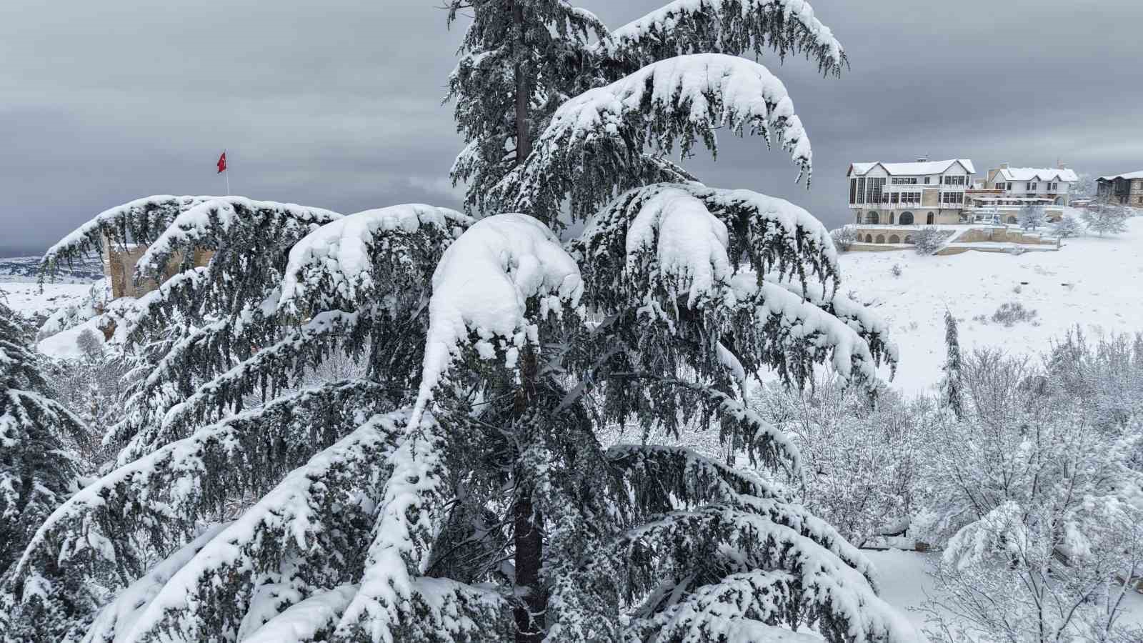Doğu Anadolu’da kar, Avrupa manzaralarını anımsatıyor
