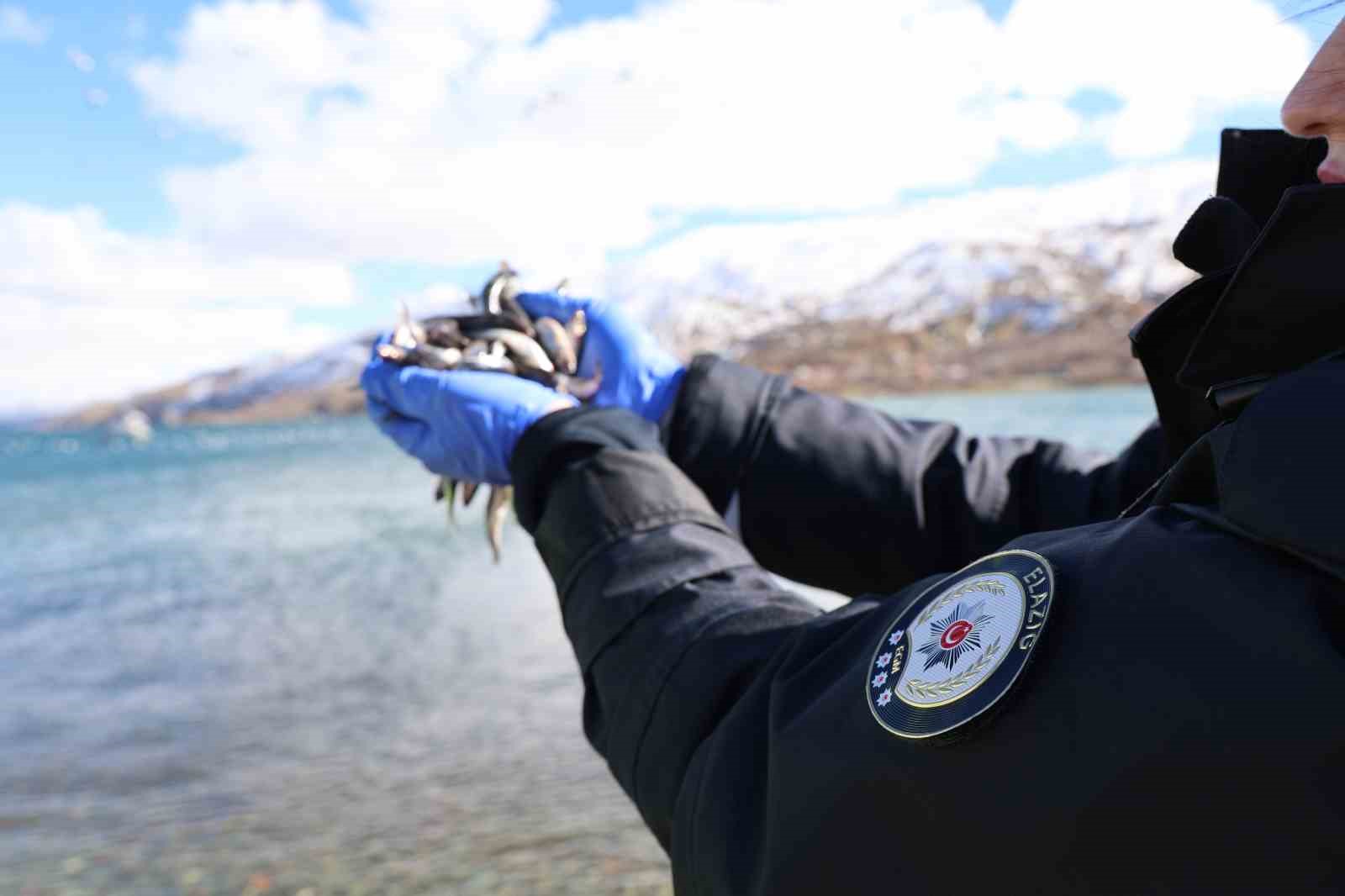Doğu’nun gizli denizinde şefkat eli: Polis ekipleri martı ve tavşanları unutmadı
