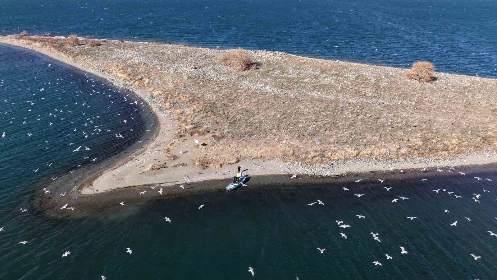 Doğu’nun gizli denizinde şefkat eli: Polis ekipleri martı ve tavşanları unutmadı
