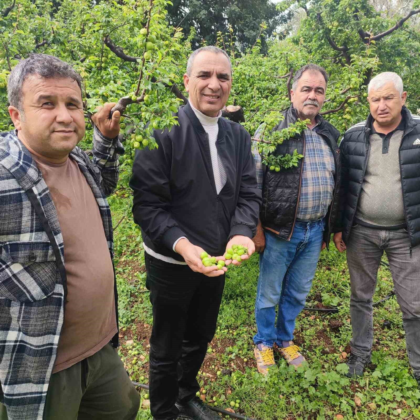 Dolu afeti sonrası hasar tespit çalışmalarına başlandı
