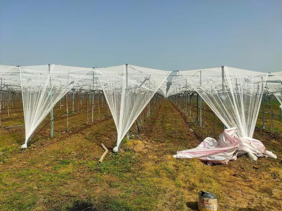 Dolu korkusuna fileli önlem
