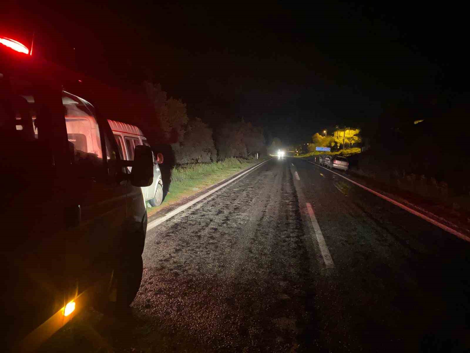 Domuza çarpan otomobil uçuruma yuvarlandı
