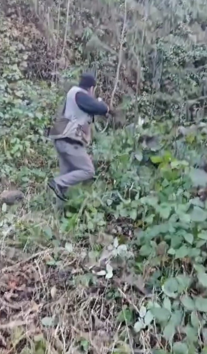 Domuzun saldırısından avcı arkadaşları kurtardı
