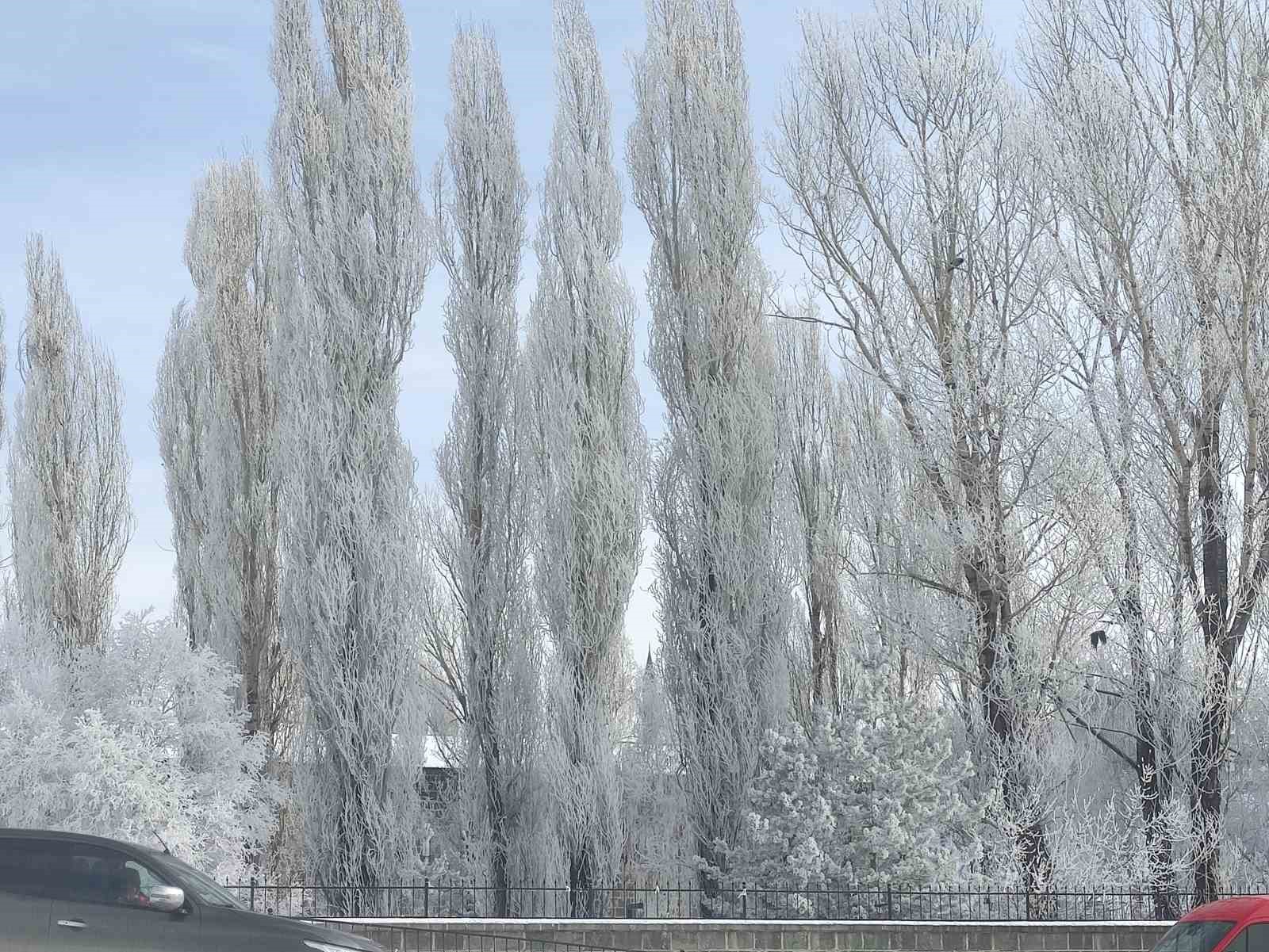 Dondurucu soğuklar mart ayında da etkisini sürdürüyor

