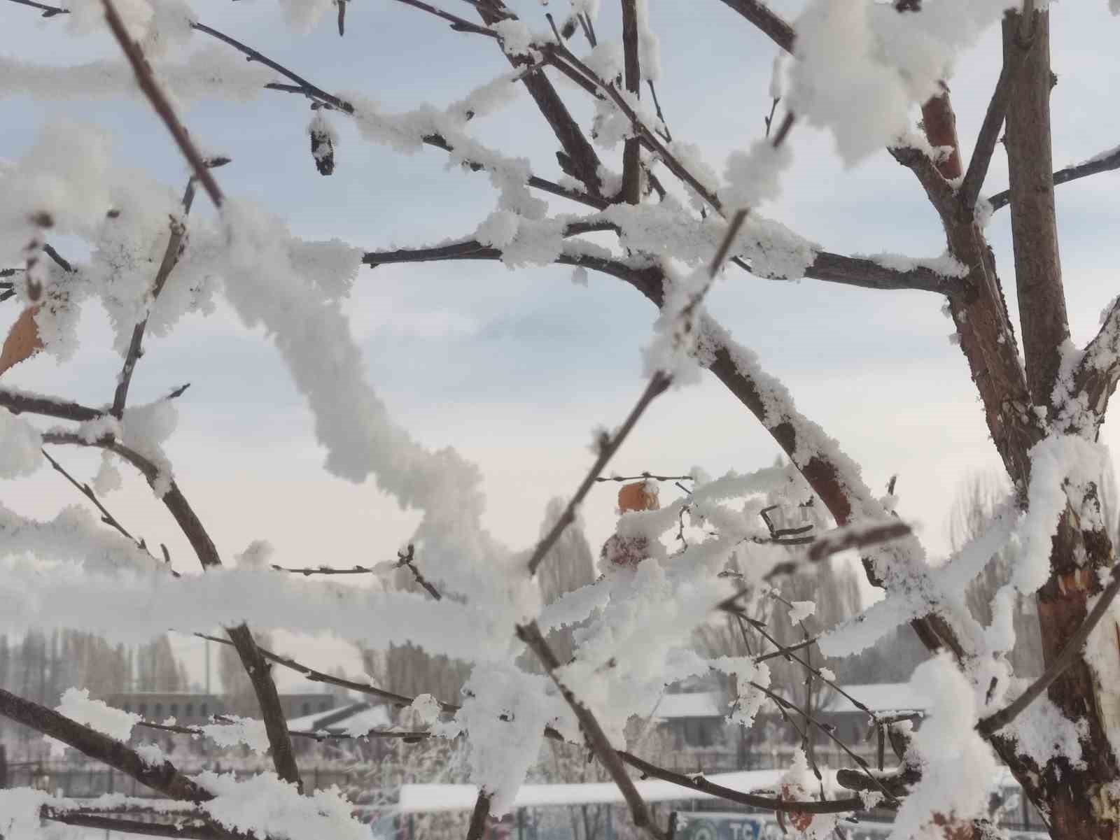 Dondurucu soğuklar mart ayında da etkisini sürdürüyor
