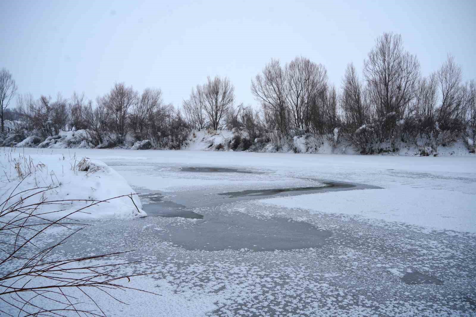 Dondurucu soğukların hakim olduğu Muş’ta Karasu Nehri buz tuttu
