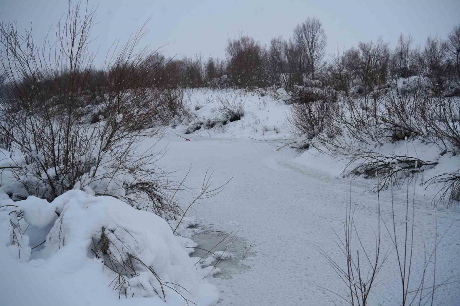 Dondurucu soğukların hakim olduğu Muş’ta Karasu Nehri buz tuttu
