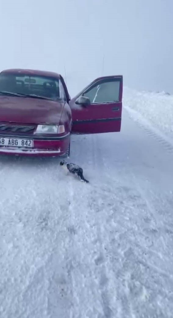 Donmak üzere olan yavru kediyi kurtardı, davranışı ile takdir topladı
