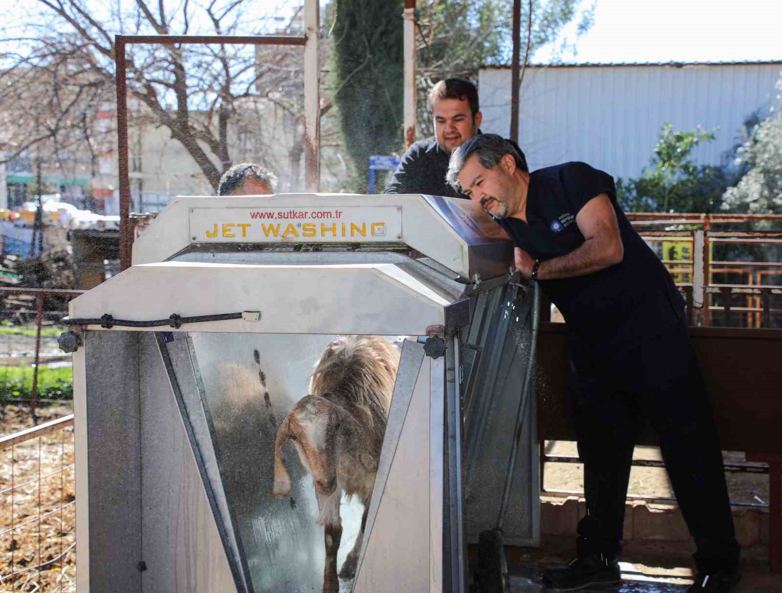 Döşemealtı’nda küçükbaş hayvanlara ücretsiz parazit uygulaması

