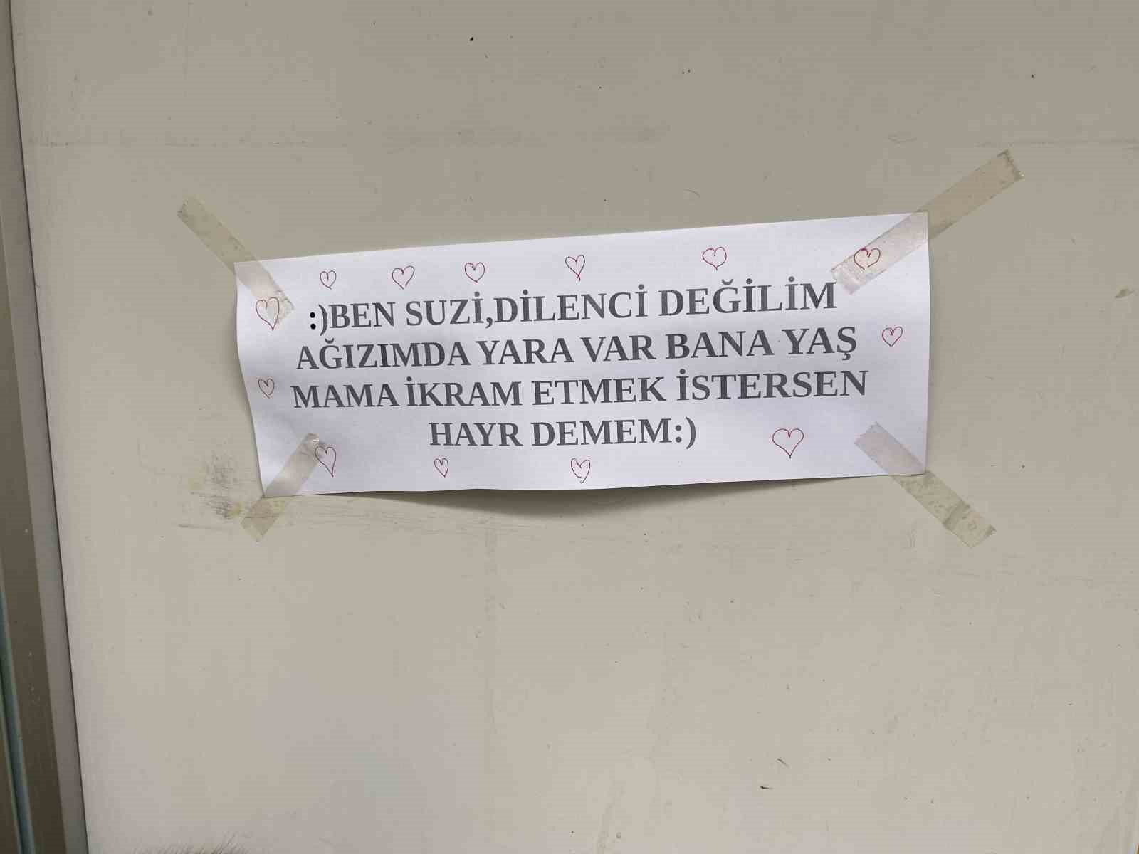 Dükkan önündeki kedi için asılan ilginç not dikkat çekti: "Dilenci değilim"
