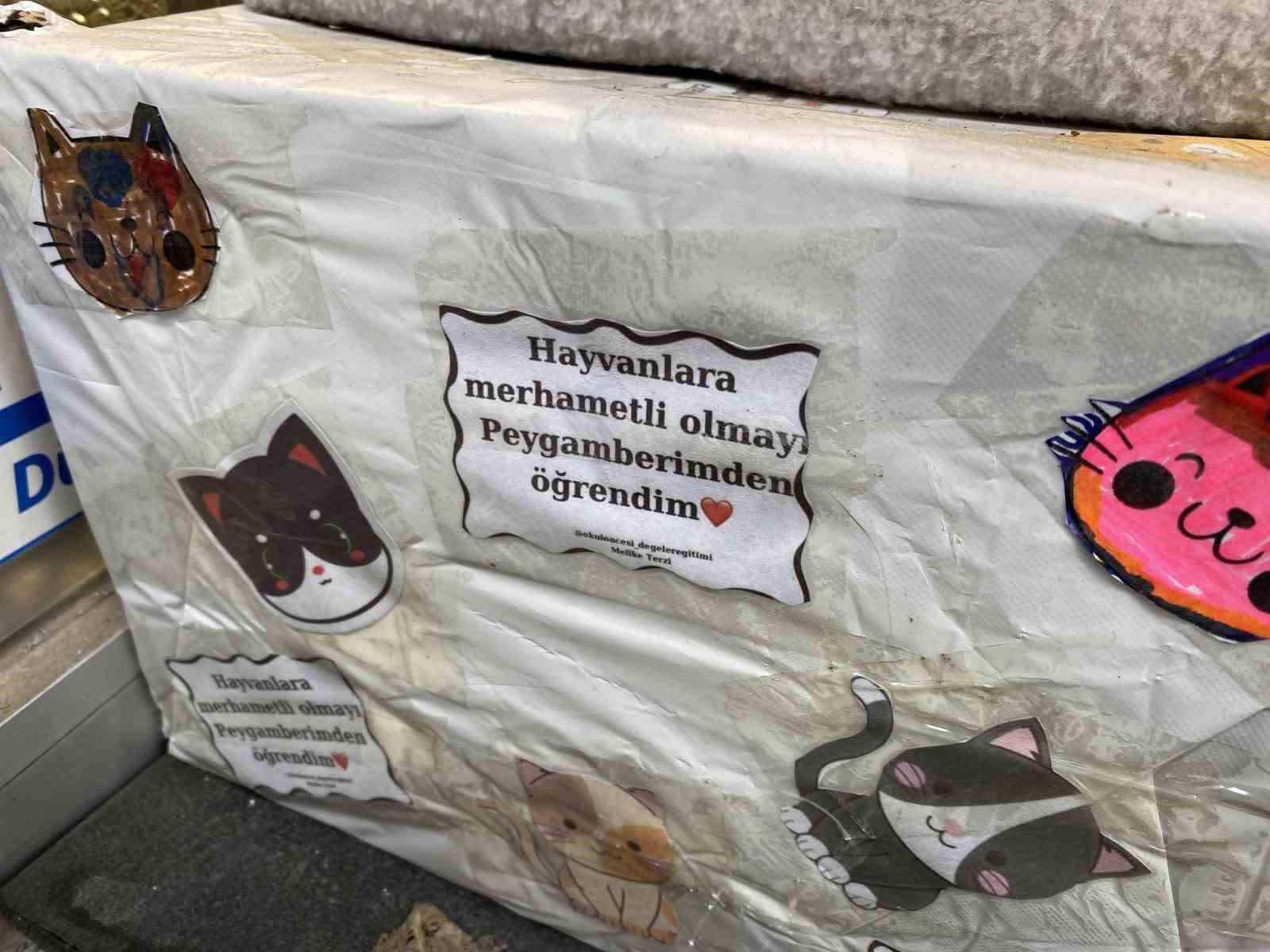 Dükkan önündeki kedi için asılan ilginç not dikkat çekti: "Dilenci değilim"
