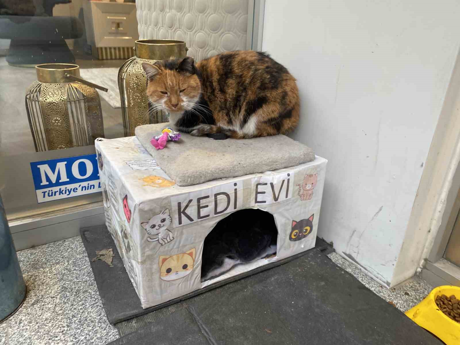 Dükkan önündeki kedi için asılan ilginç not dikkat çekti: "Dilenci değilim"
