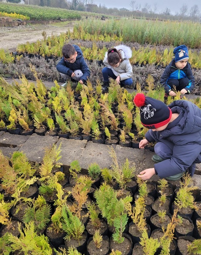 Düzce’ de minik eller büyük ormanlar oluşturmak için çalıştı
