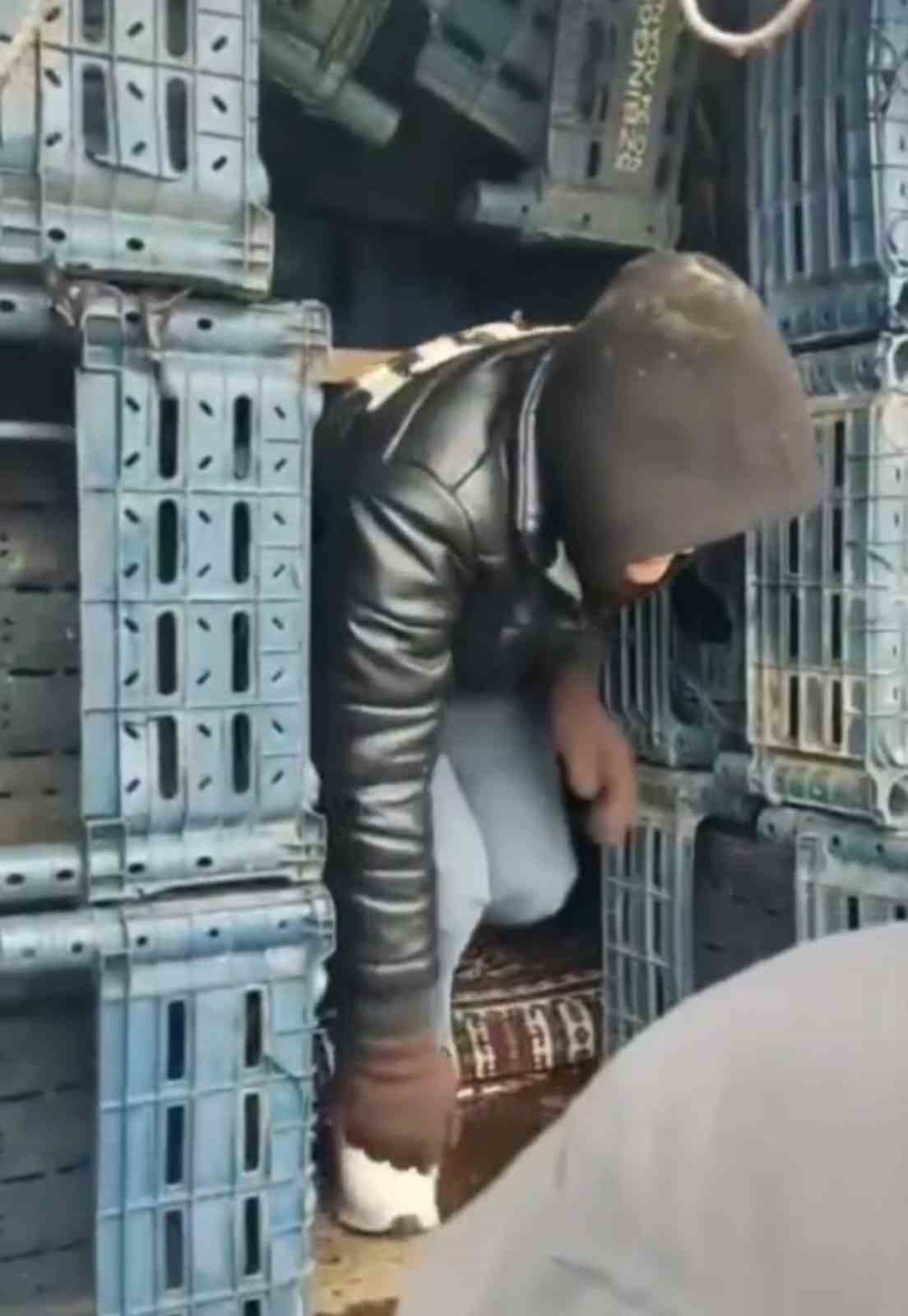 Düzce’de 13 düzensiz göçmen yakalandı
