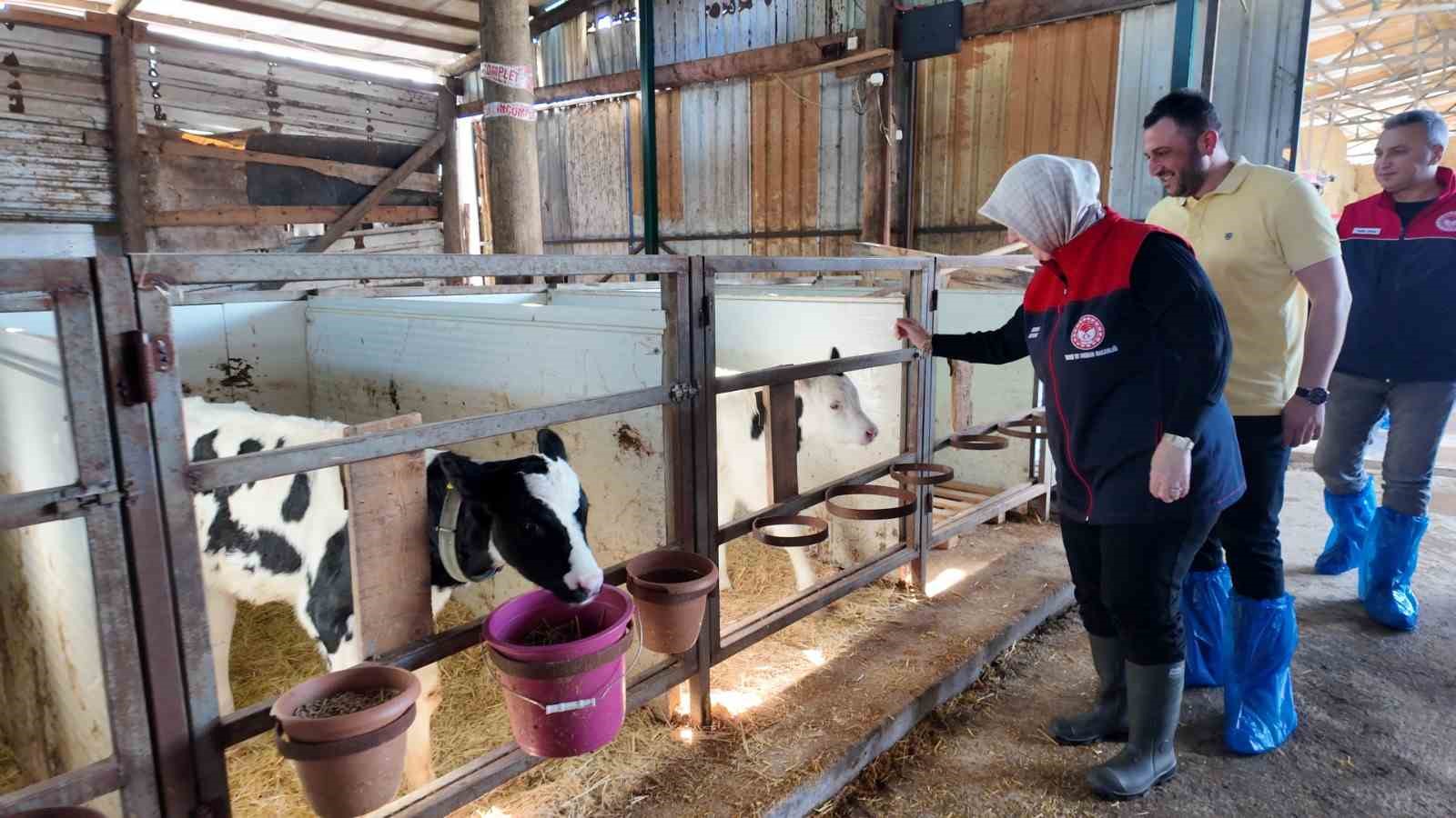 Düzce’de ari işletme sayısı artıyor
