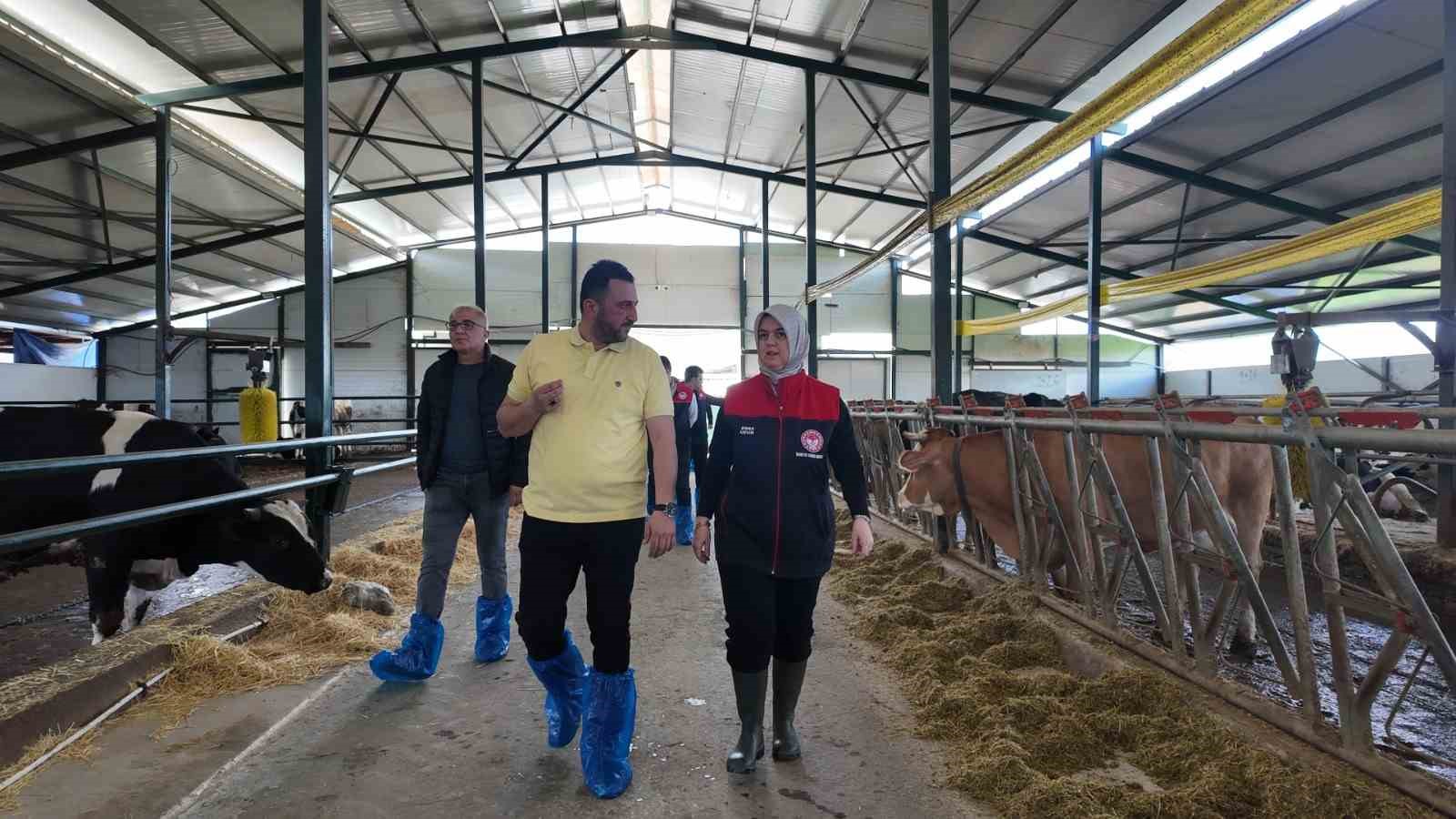 Düzce’de ari işletme sayısı artıyor
